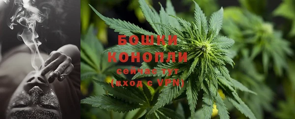 не бодяженный Белокуриха