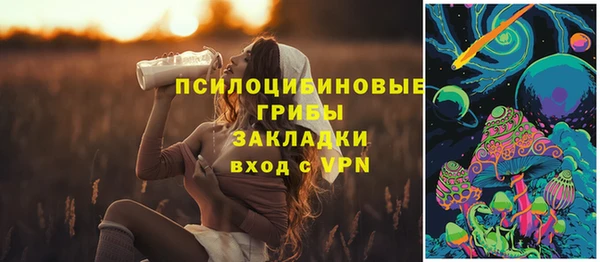 не бодяженный Белокуриха