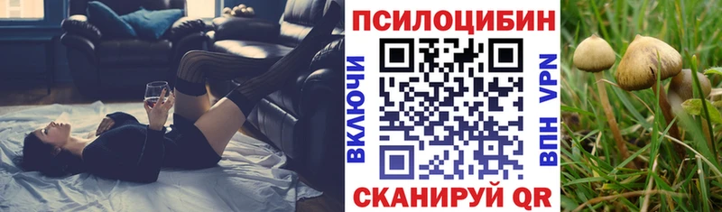 где купить наркотик Калининец кракен онион Галлюциногенные грибы Psilocybine cubensis